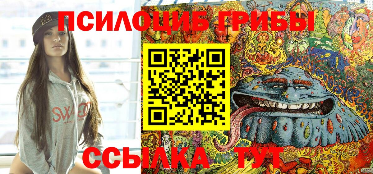 Галлюциногенные грибы Psilocybine cubensis Набережные Челны